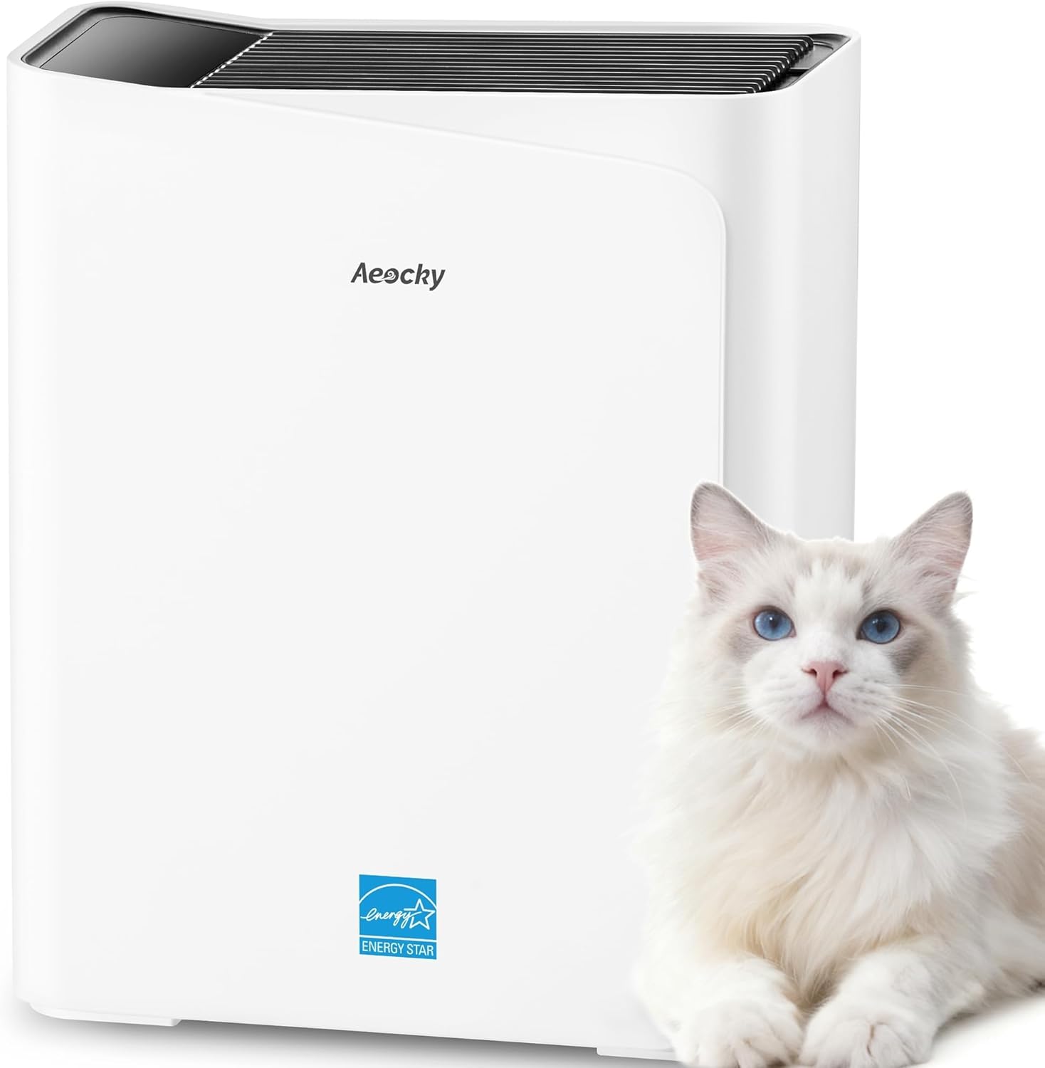 AEOCKY Air Purifier for pets and home use