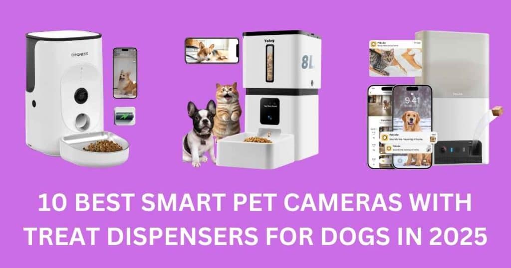 Husky catching treat from best smart pet cameras with treat dispensers – Best Dog Treat Camera 2025.