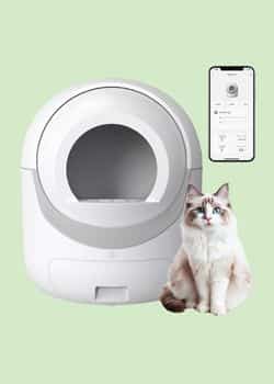 BCHARYA Self Cleaning Cat Litter Box – Best Budget-Friendly Option