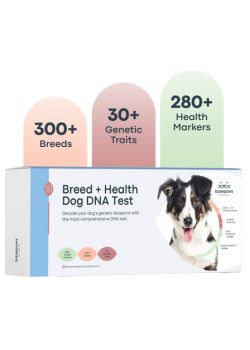 Basepaws Dog DNA Testing Kit