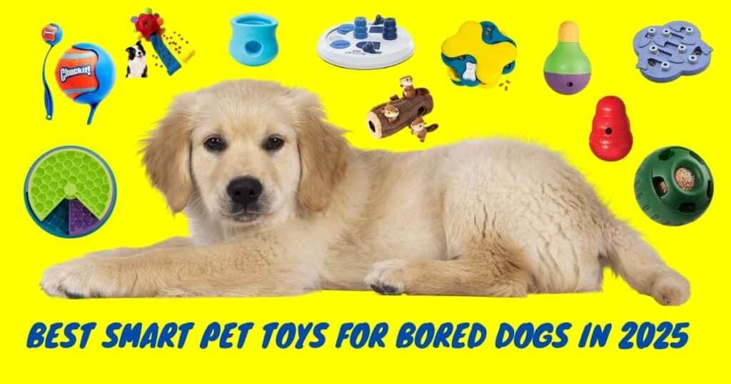 Golden retriever enjoying the best smart pet toys for bored dogs in 2025.