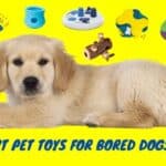 Golden retriever enjoying the best smart pet toys for bored dogs in 2025.