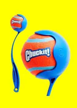 Chuckit! Dog Ball Launcher - Sport 12"