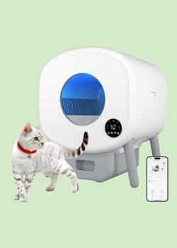 Cumrige Self Cleaning Litter Box – Best for Multiple Cats