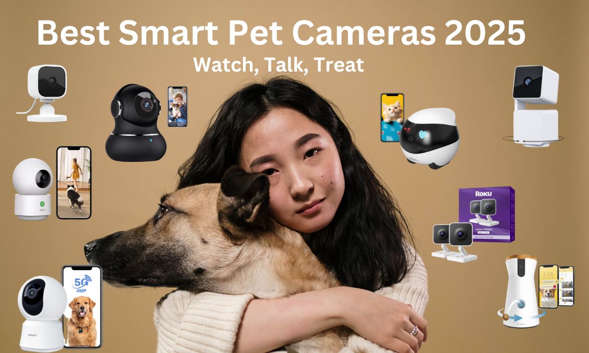 How to Choose the Best Smart Pet Cameras for Your Home