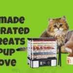 A happy dog and a cat munching on a dehydrated treat next to a Magic Mill Pro