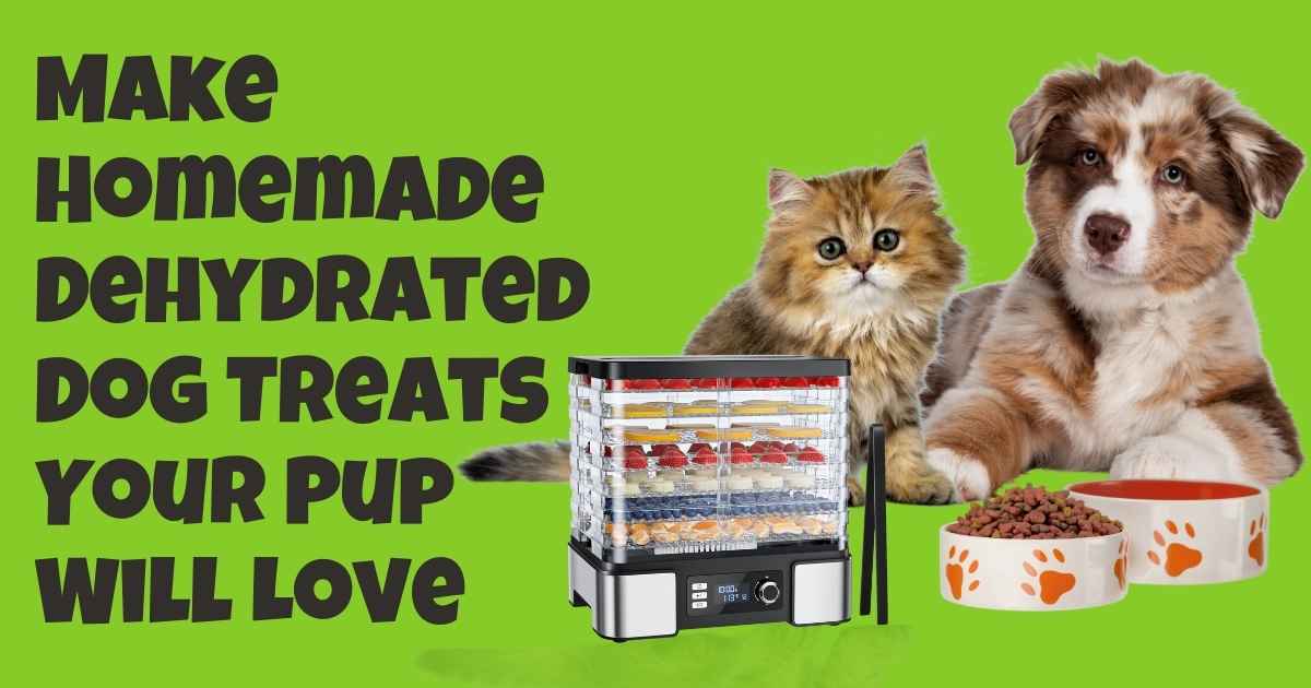 A happy dog and a cat munching on a dehydrated treat next to a Magic Mill Pro