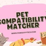 Pet Compatibility Matcher: Find Your Pet’s Perfect Match