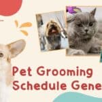 Grooming Schedule Generator 2025: Simplify Your Pet Care Routine