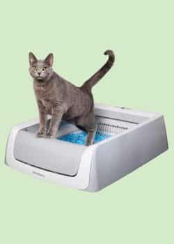 PetSafe ScoopFree Crystal Pro – Best for Odor Control on a Budget