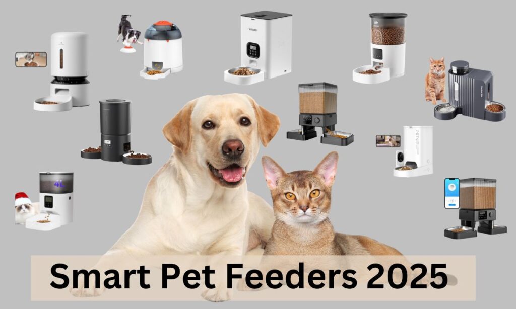 Smart Pet Feeders for 2025 The Ultimate Guide to High-Tech Nutrition for Picky Eaters