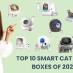 A beautiful smiling young woman pointing to Top 10 Smart Self-Cleaning Cat Litter Boxes of 2025