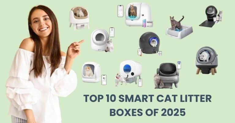 We Tested the Top Smart Self-Cleaning Cat Litter Boxes of 2025 – Here’s What Actually Worked for Our Cats