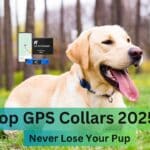 Dog wearing a 2025 GPS collar with glowing map overlay on dark background – Top GPS Dog Collars & Pet Trackers for 2025.