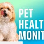 Ultimate Pet Health Monitor Tool: Track Your Pet’s Health with Ease in 2025