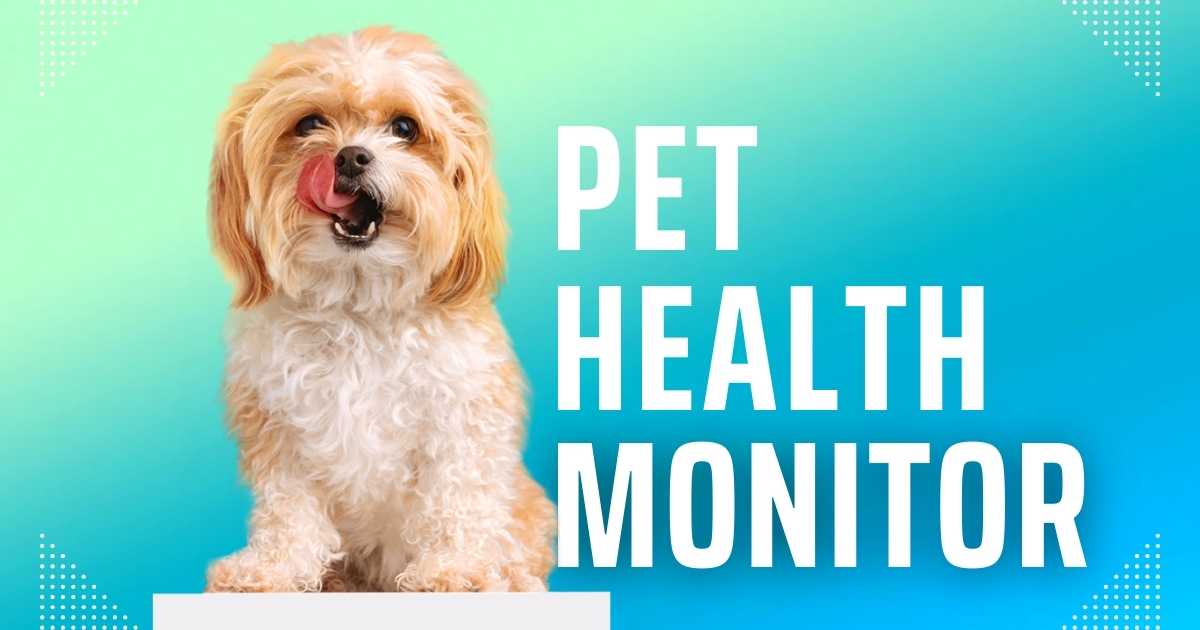 Ultimate Pet Health Monitor Tool: Track Your Pet’s Health with Ease in 2025
