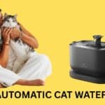 Top 10 Automatic Cat Water Feeder - a woman sitting on floor and cuddling her cat