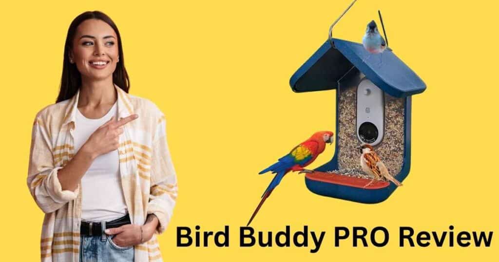 Bird Buddy PRO Solar Smart Bird Feeder Review