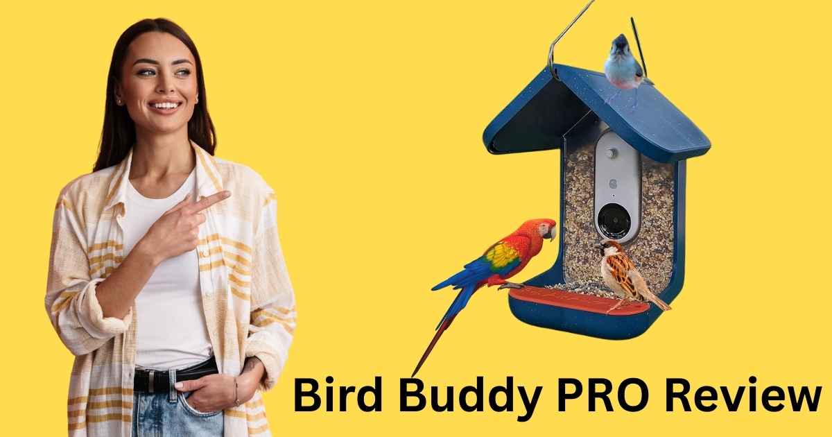 Bird Buddy PRO Solar Smart Bird Feeder Review
