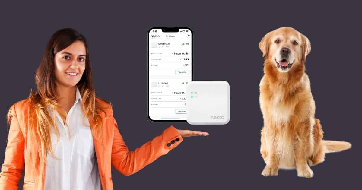 Necto Cellular Temperature and Humidity Monitor