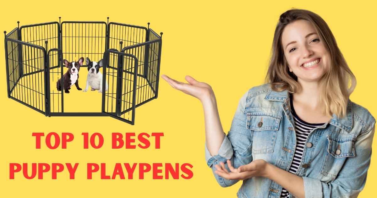 Top 10 Best Puppy Playpens for Small and Large Puppies in 2025