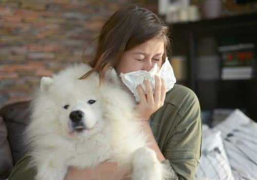 Balancing Pet-Friendly Shopping and Public Health
