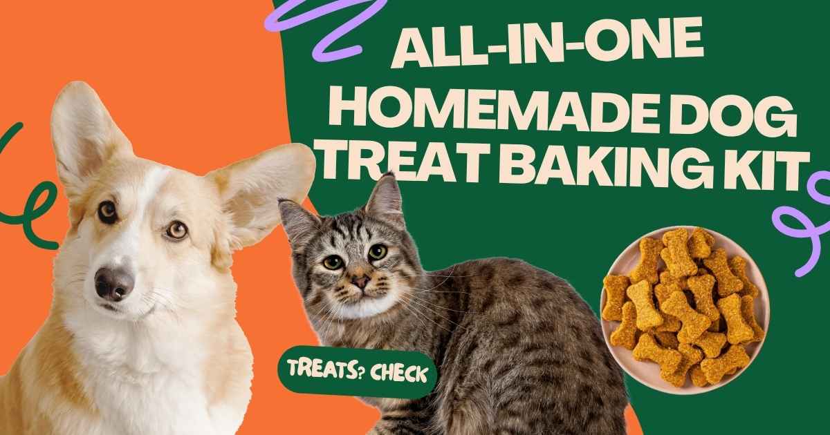 BoneItUp Dog Treat Making Kit Review: Is This the Best All-in-One Homemade Dog Treat Baking Kit for Health-Conscious Pet Owners?