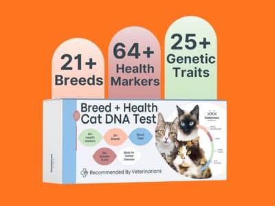 Basepaws Cat DNA Test Kit