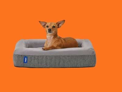 Casper Dog Bed