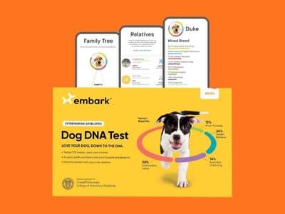 Embark Breed Identification Kit