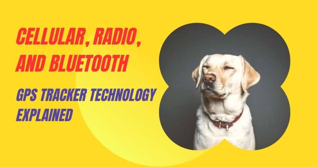 A cute dog wearing a tracker against a yellow background showiing the pet tracker technology in blue color and the cellular, radio, and bluetooth written in red color.