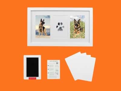 Green Pollywog Paw Print & Nose Print Kit with No-Mess Ink Pad