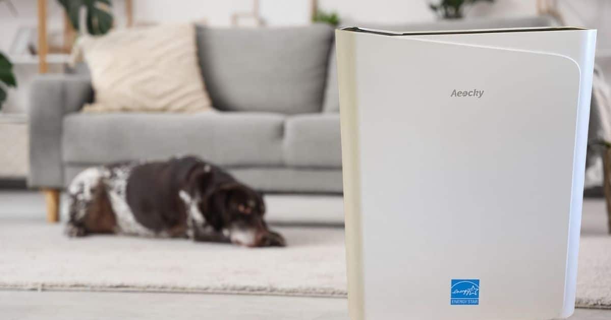AEOCKY Air Purifier Review: Does This $95 Energy Star Unit Really Last a Year?