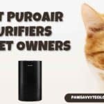 Best PuroAir Air Purifier for Pet Owners 2025