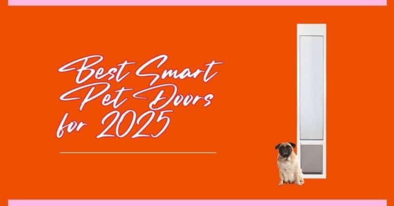 Best Smart Pet Doors for 2025: Find Your Perfect Automatic Dog Door