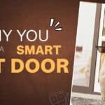 12 Game-Changing Benefits of Smart Pet Doors That'll Transform Your Life in 2025